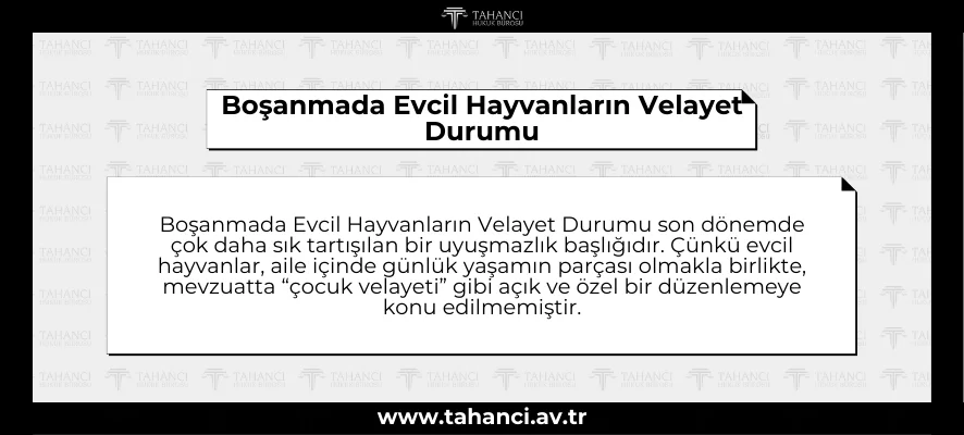 Boşanmada Evcil Hayvanların Velayet Durumu - tahanci