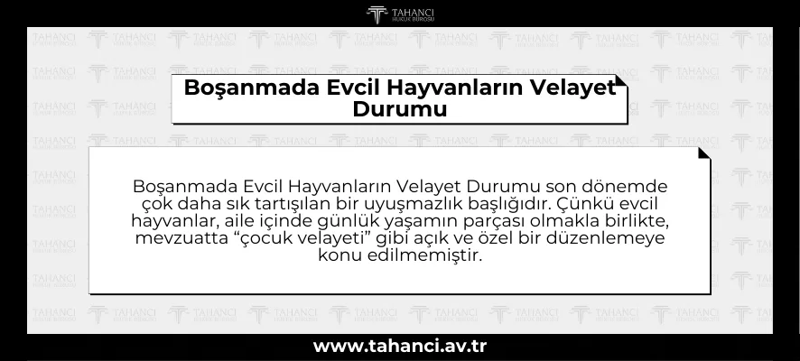 Boşanmada Evcil Hayvanların Velayet Durumu