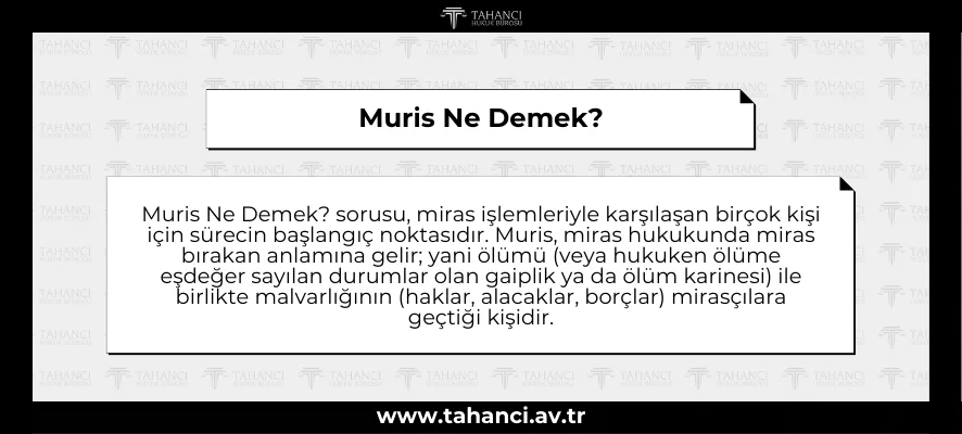 Muris Ne Demek?