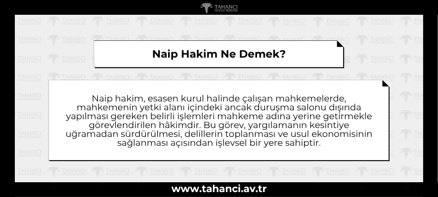 Naip Hakim Ne Demek - tahanci